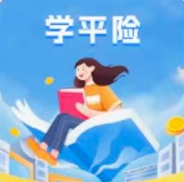 学平险